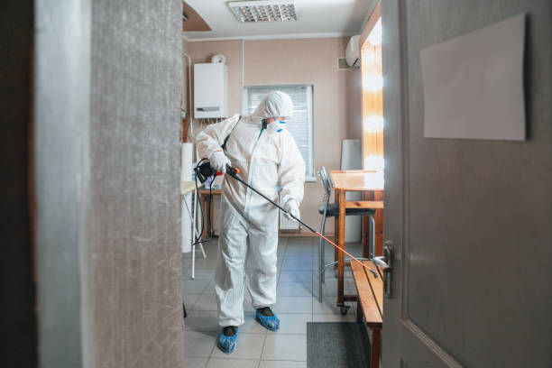 Best Emergency Mold Remediation  in Greenlawn, NY